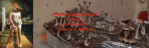 ALPHA PVP Белокуриха